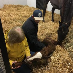 Image post by @margaux.farm on Instagram