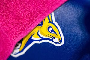 Image post by @gojackssdsu on Instagram