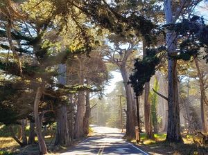 Image post by @pebblebeachresorts on Instagram