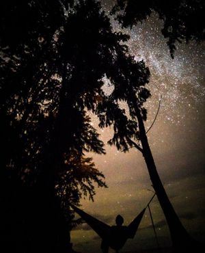 Image post by @litezall on Instagram