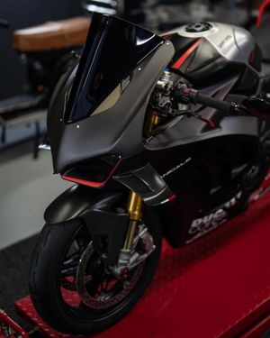 Image post by @panigalers on Instagram