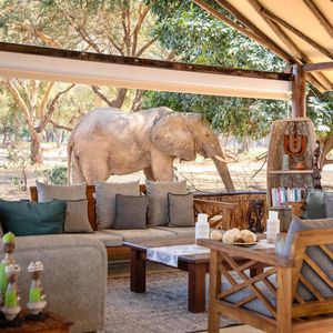Image post by @chiawasafaris on Instagram