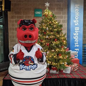 Image post by @rockfordicehogs on Instagram