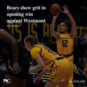 Image post by @dailycalsports on Instagram