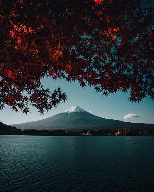 Image post by @polarpro on Instagram