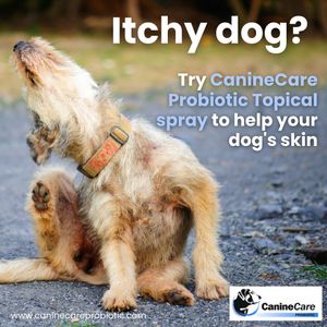 Image post by @caninecareprobiotic on Instagram