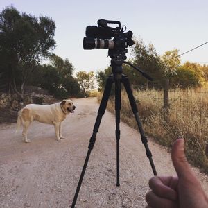 Image post by @liammartinfilm on Instagram