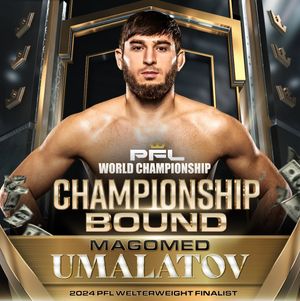 Image post by @pflmma on Instagram