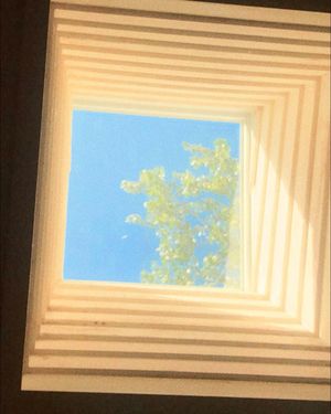 Image post by @isabelpetersun on Instagram