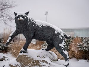 Image post by @uofnh on Instagram