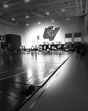 Image post by @gvsuwrestle on Instagram