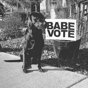 Image post by @babevote on Instagram