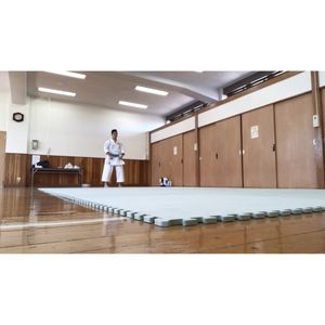 Image post by @gakutoro on Instagram