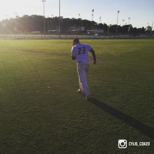 Image post by @rawlingstigers on Instagram