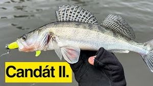 Video post by @jonasederfishing on YouTube