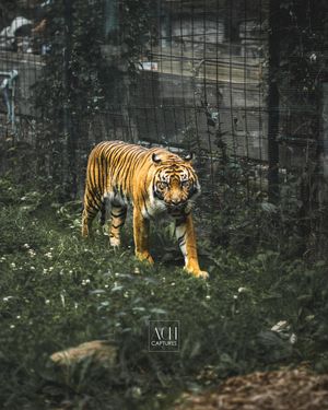 Image post by @achcaptures on Instagram