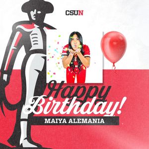 Image post by @csunsoftball on Instagram