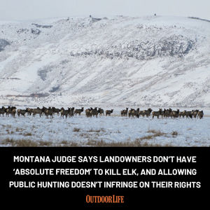Image post by @outdoor_life on Instagram