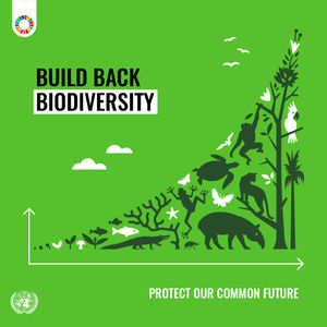 Image post by @unfoundation on Twitter/X