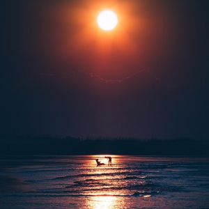 Image post by @jpotterphoto on Instagram