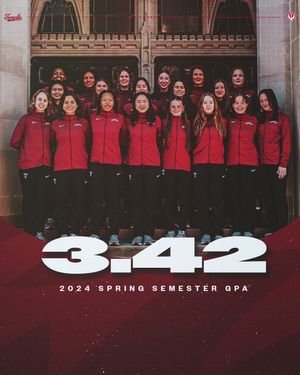 Image post by @templefencing on Instagram