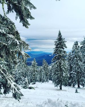 Image post by @lauraroze on Instagram