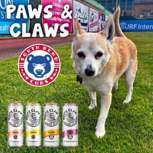 Image post by @sbcubs on Instagram