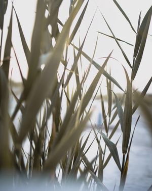 Image post by @ninamarie_creative on Instagram