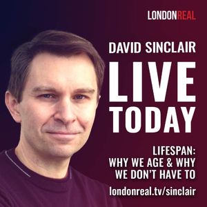 Image post by @londonrealtv on Instagram