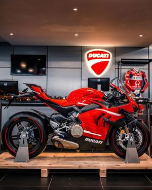Image post by @panigalers on Instagram