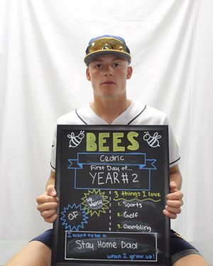Image post by @burlington_bees on Instagram