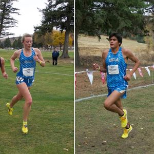 Image post by @uclaxc on Instagram