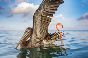 Image post by @natgeo on Instagram
