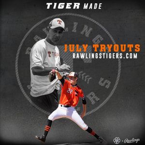 Image post by @rawlingstigers on Instagram