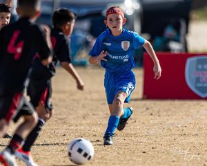 Image post by @davidfrerkersportsphotography on Instagram