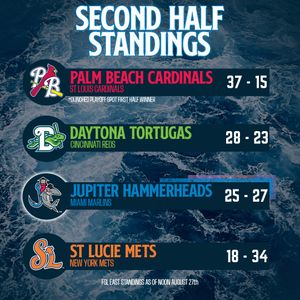 Image post by @gohammerheads on Instagram