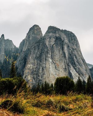 Image post by @drewpeden on Instagram