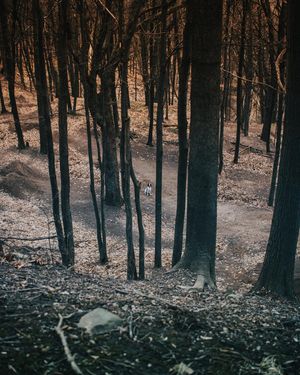 Image post by @ninamarie_creative on Instagram