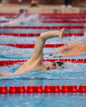 Image post by @gobearcatsswim on Instagram