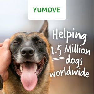 Image post by @yumove_usa on Instagram