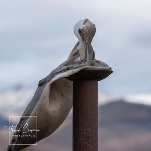 Image post by @lightboximages on Instagram