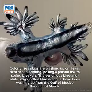 Image post by @foxweather on Instagram