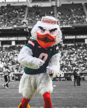 Image post by @um_sebastian on Instagram