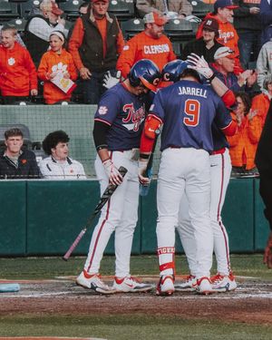 Image post by @cutigervision on Instagram