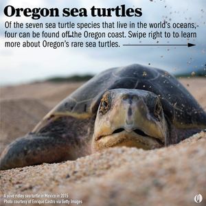 Image post by @theoregonian on Instagram