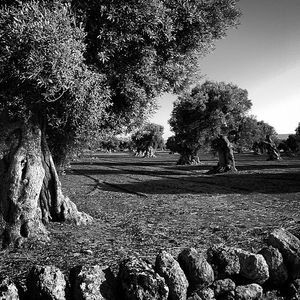 Image post by @francesco__laporta on Instagram