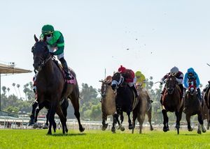 Image post by @breederscup on Instagram