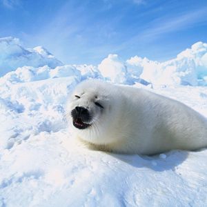 Image post by @discovery on Instagram