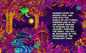 Image post by @nocturnalwland on Instagram