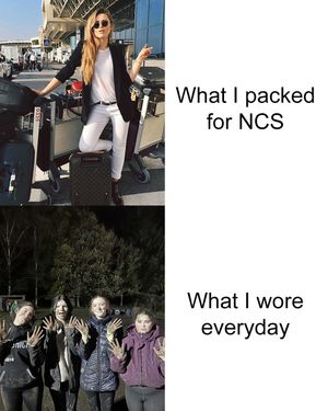 Image post by @ncs on Instagram
